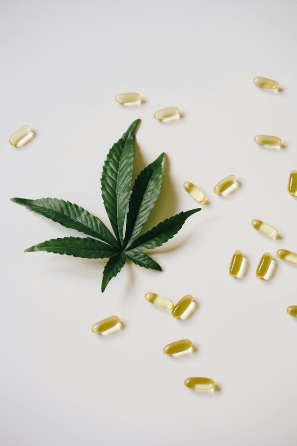 Experience premium wellness products at a trusted cannabidiol shop UK
